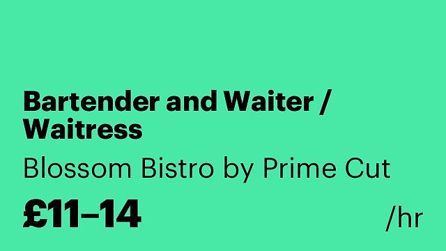 Bartender and Waiter / Waitress