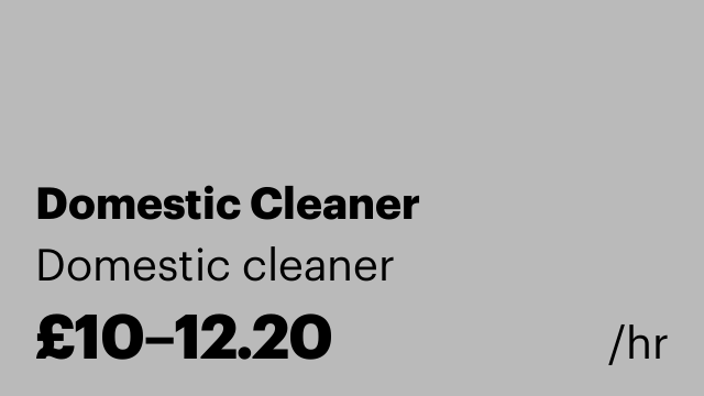 Domestic Cleaner