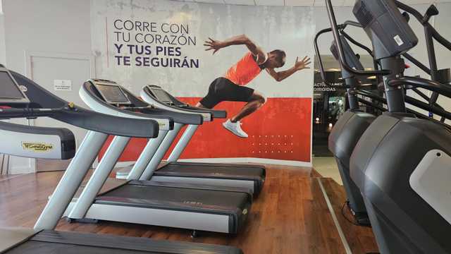 Técnico/a Deportivo/a