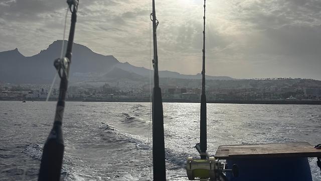 PATRON DE BARCO / SKIPPER