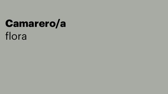 Camarero/a