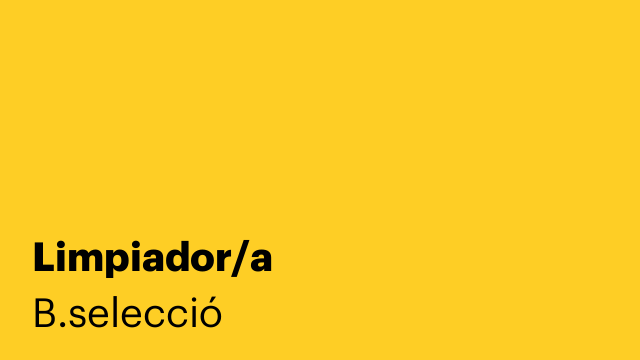 Limpiador/a
