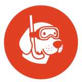 Perris Autolavado logo