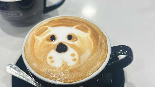 Camarero/a y Barista