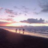 Ignasi S. avatar icon