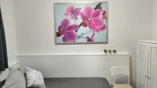 Cuidador/a mayores fines de semana interno/a más horas sueltas