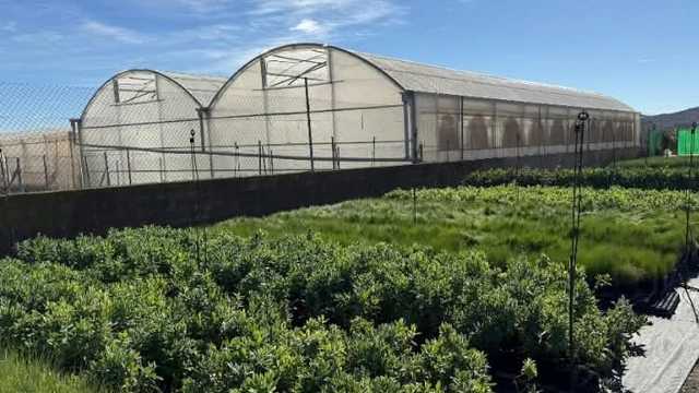 Operario en Vivero