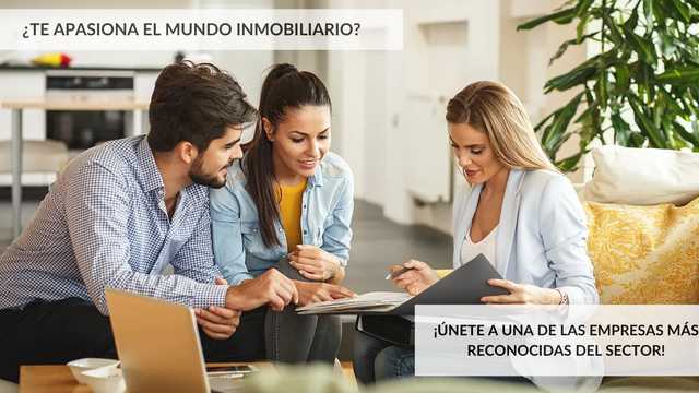 Asesor/a Inmobiliario