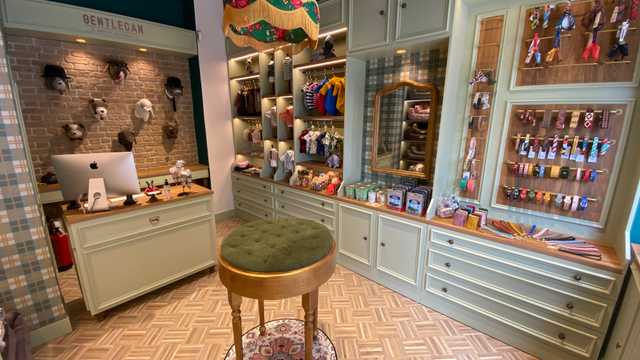 Becario Marketing Digital - Peluquería Canina y Tienda Mascotas (Madrid)