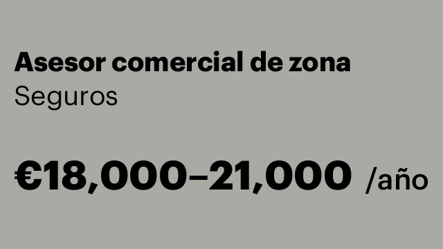 Asesor comercial de zona