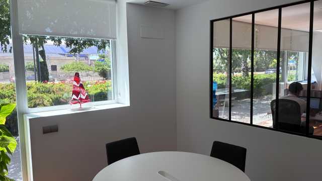 Property Consultant