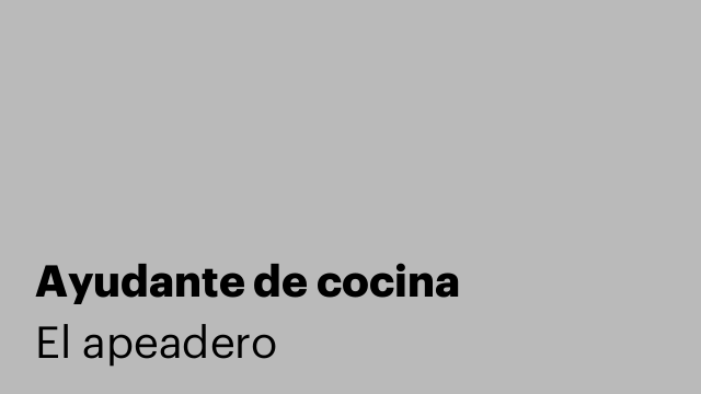Ayudante de cocina