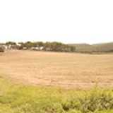 Angel M. avatar icon