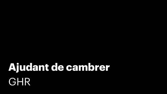 Ajudant de cambrer