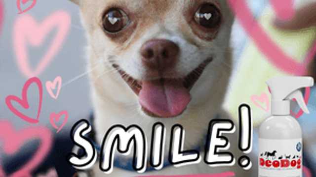 Representante de Ventas