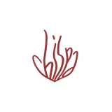 Chispa Bistró l Restaurante Estrella Michelín Madrid logo