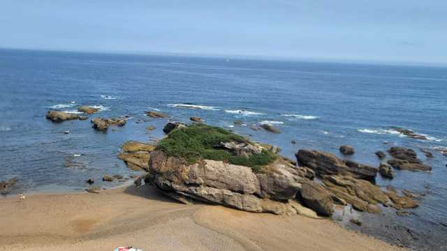 Camarero/a de Sala/Terraza