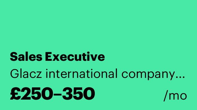 Sales Executive