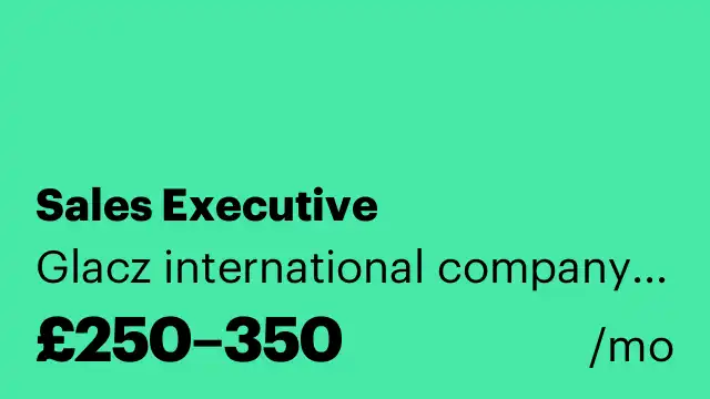 Sales Executive