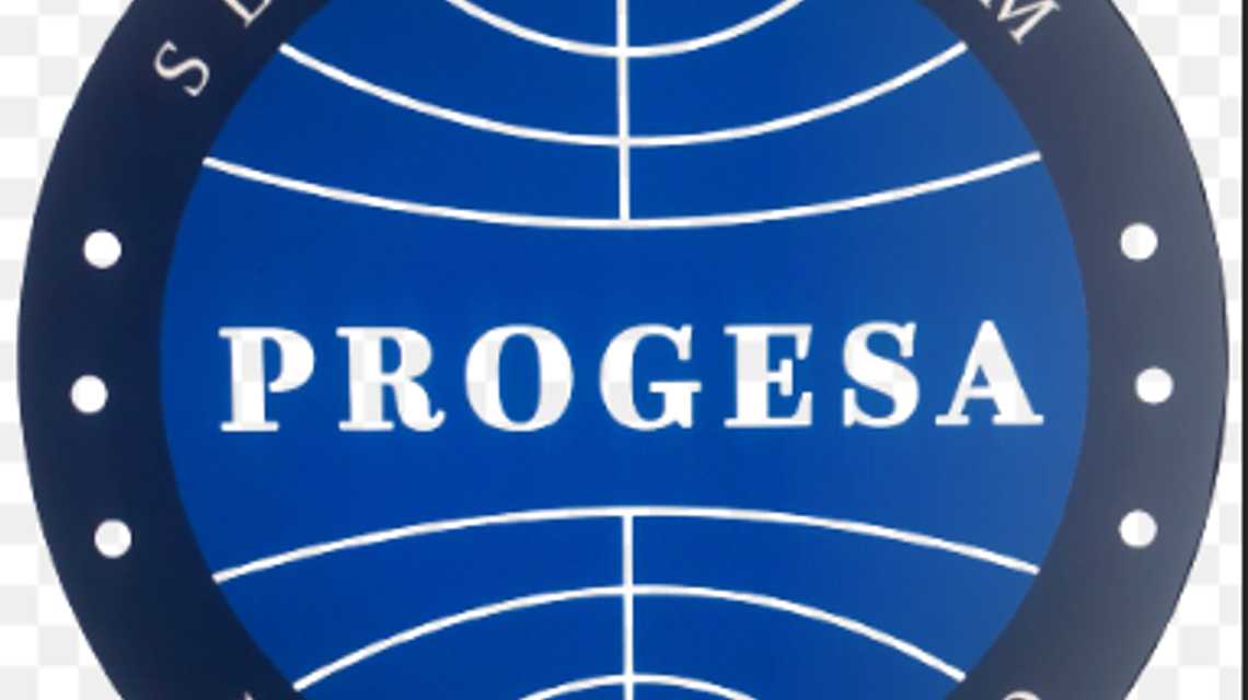 PROGESA SEGURIDAD SL cover image