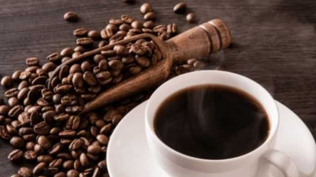 Camarero/a u obrador