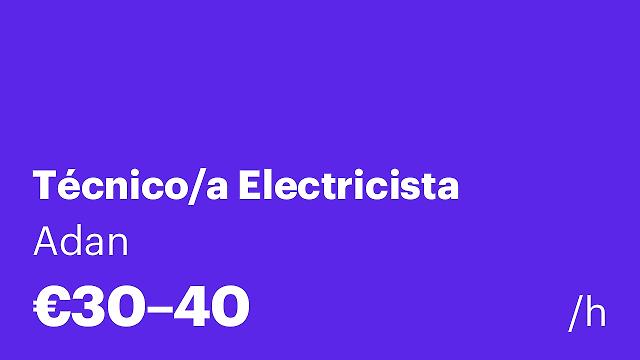 Técnico/a Electricista