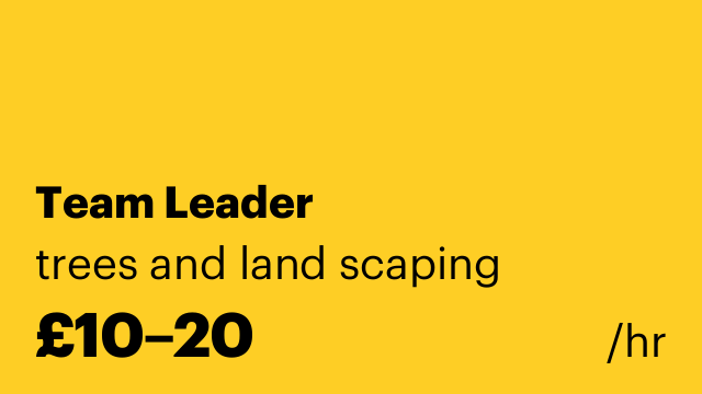 Team Leader