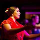 Tablao Flamenco E. avatar icon