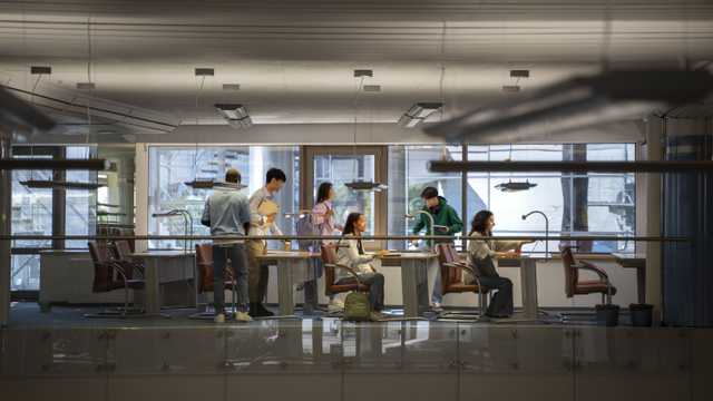 Technical Customer Support Advisor