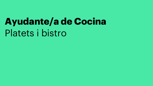 Ayudante/a de Cocina