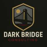 Dark Bridge Consulting logo