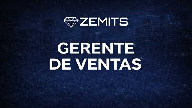 Comercial de ventas \ Sales manager