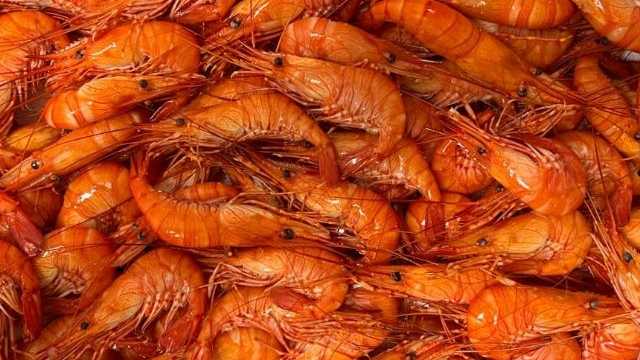 Repartidor/a - manipulador/a de pescado