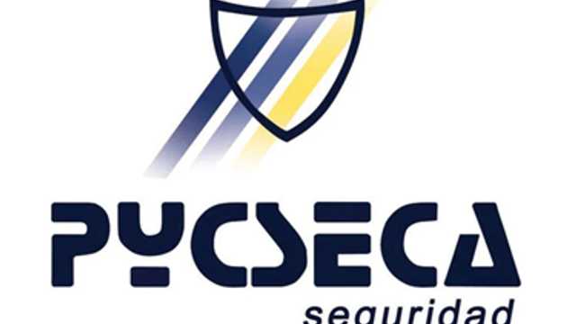 Vigilante de Seguridad