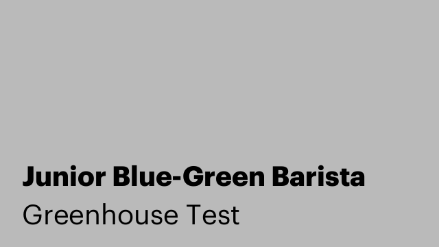 Junior Blue-Green Barista