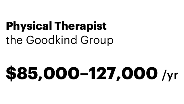 Physical Therapist