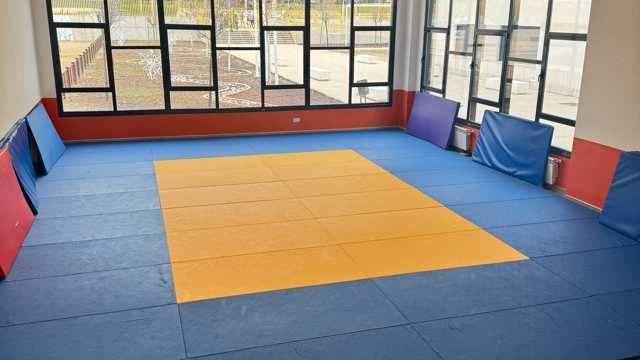 Profesor/a de Judo