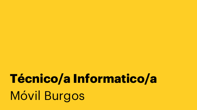 Técnico/a Informatico/a
