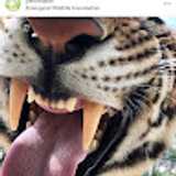 José A. avatar icon