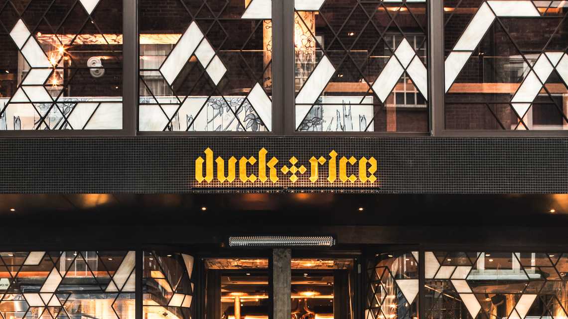 The Duck and Rice cover image