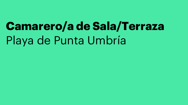 Camarero/a de Sala/Terraza