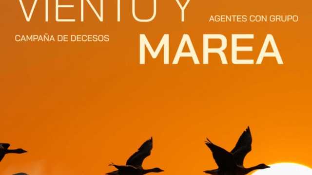 Agente de Seguros Exclusivo