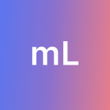 mohamed L. avatar icon