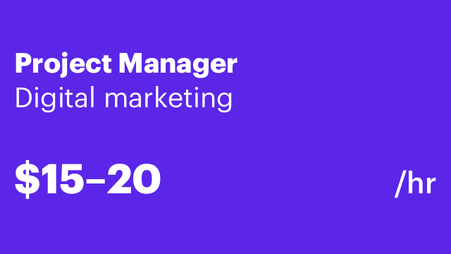 Project Manager