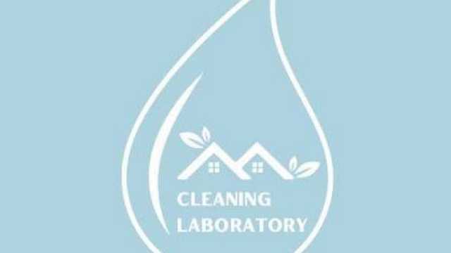 Cleaner