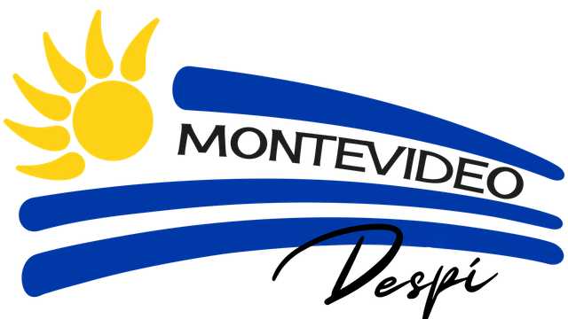 Camarero/a de Sala/Terraza