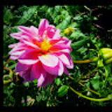 mercedes R. avatar icon