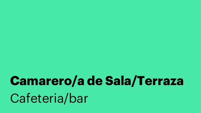 Camarero/a de Sala/Terraza