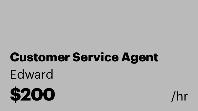 Customer Service Agent