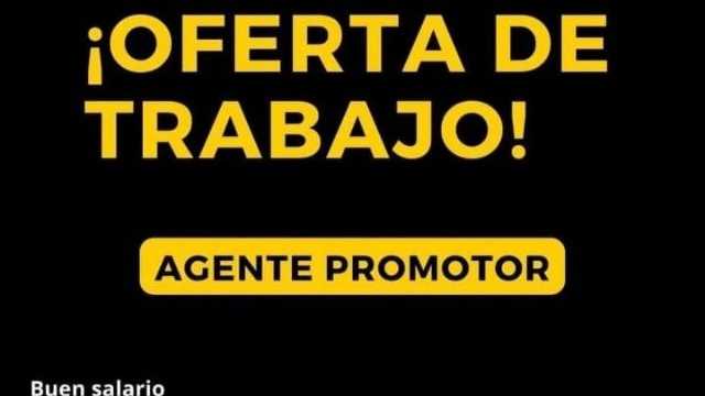 Promotor/a